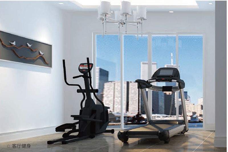 家庭健身房器材-球王会健身器材