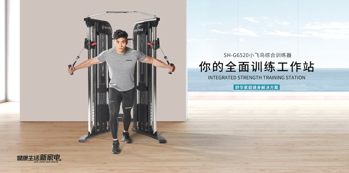 球王会健身器材-小飞鸟综合训练器SH-G6520