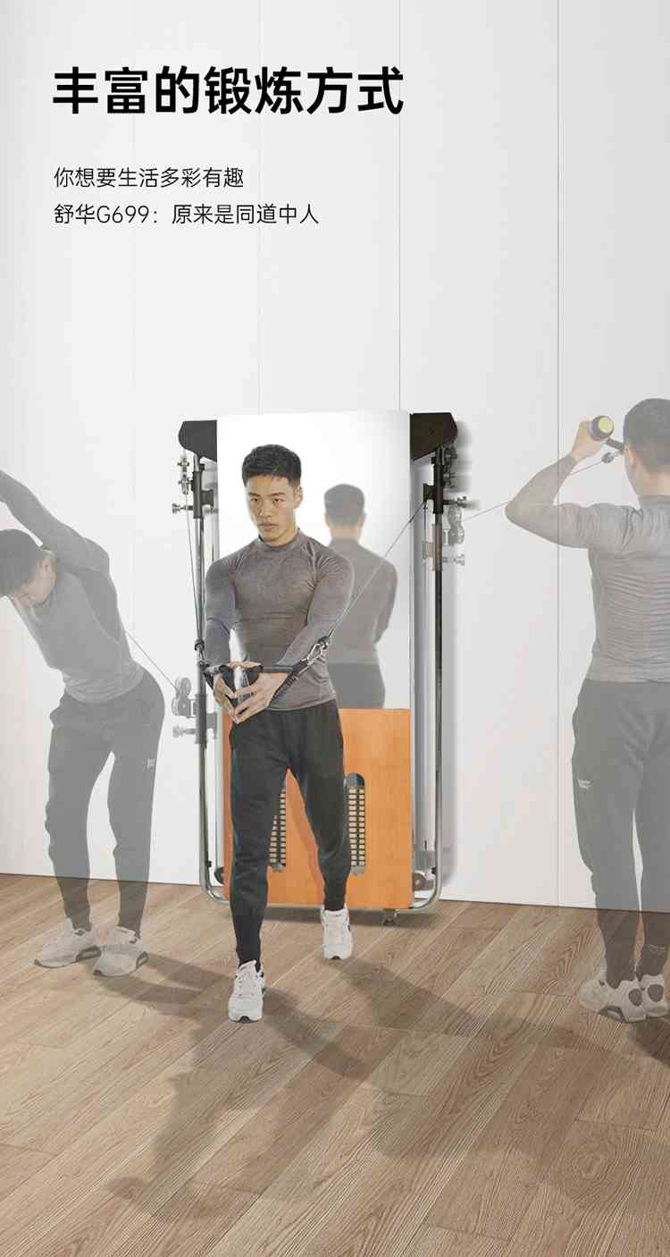SH-G699 壁挂式拉绳训练器-广西球王会体育健身器材有限公司